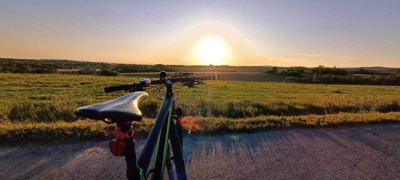 Green Gold Caglin Εξωτερικό φωτογραφία